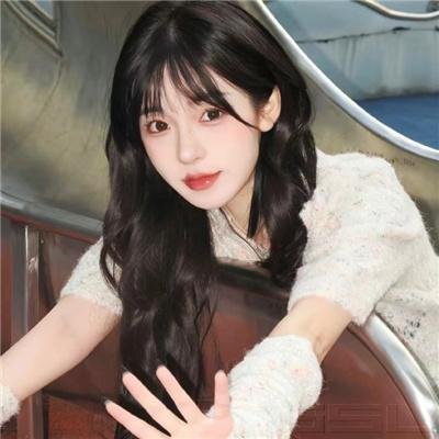 红色康乃馨